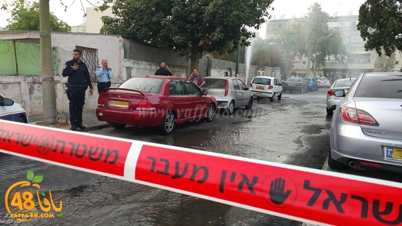 fire isra2el marzin (1).jpg